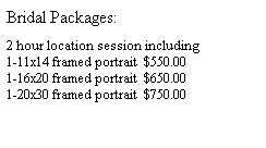 Text Box: Bridal Packages:
&nbsp;
2 hour location session including
1-11x14 framed portrait&nbsp; $550.00
1-16x20 framed portrait&nbsp; $650.00
1-20x30 framed portrait&nbsp; $750.00
